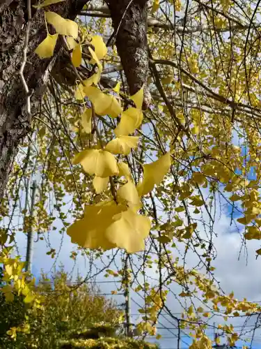 和田神社(滋賀県)