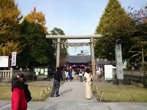 浅草神社の鳥居