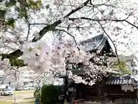 伊勢の国 四天王寺の自然