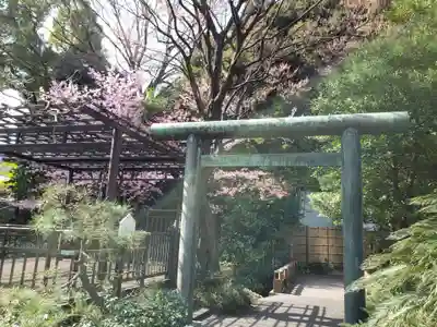 東郷神社の鳥居