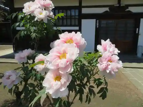 普応寺の庭園