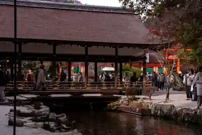 賀茂別雷神社（上賀茂神社）(京都府)