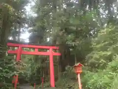 箱根神社の鳥居