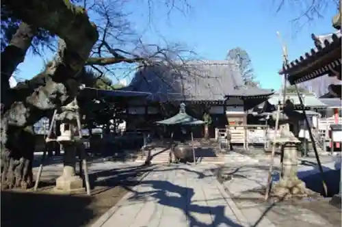 新井薬師（梅照院）のその他建物