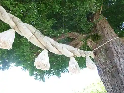 亀ケ池八幡宮の自然