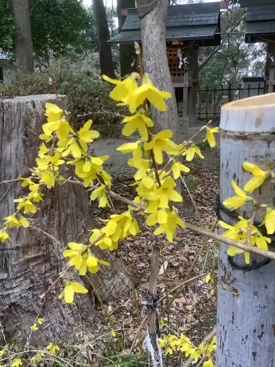 富部神社の自然