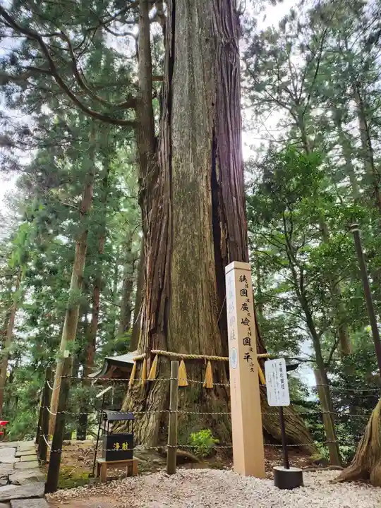 鷲子山上神社(栃木県)