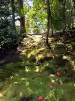 城南宮(京都府)