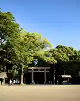 明治神宮(東京都)