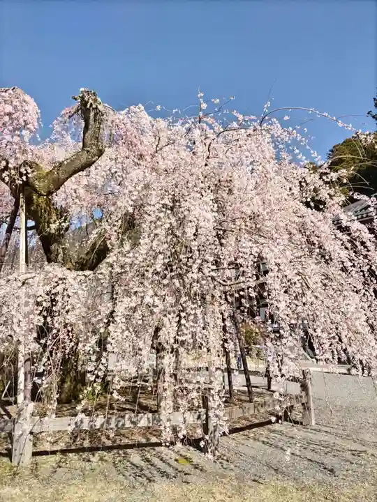 久遠寺(山梨県)