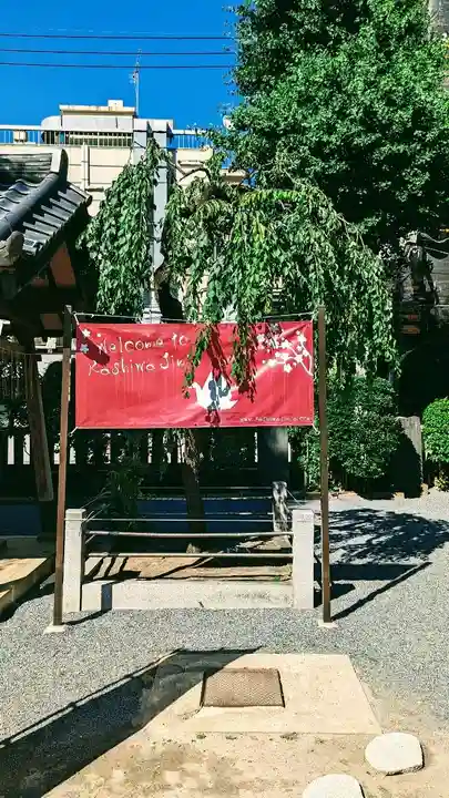 柏神社の自然