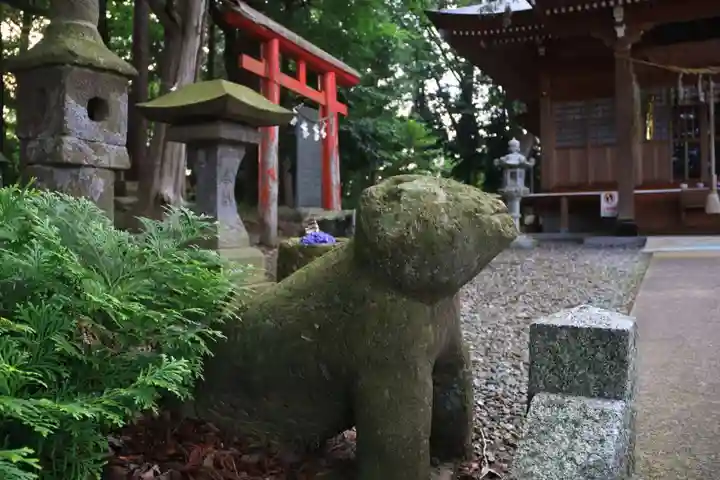 阿久津「田村神社」(郡山市阿久津町)旧社名:伊豆箱根三嶋三社の狛犬