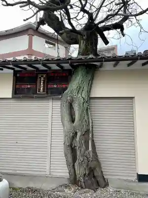 真源寺（入谷鬼子母神）(東京都)