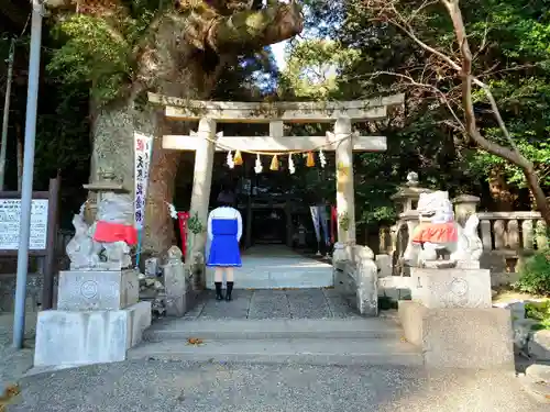 仁井田神社の鳥居