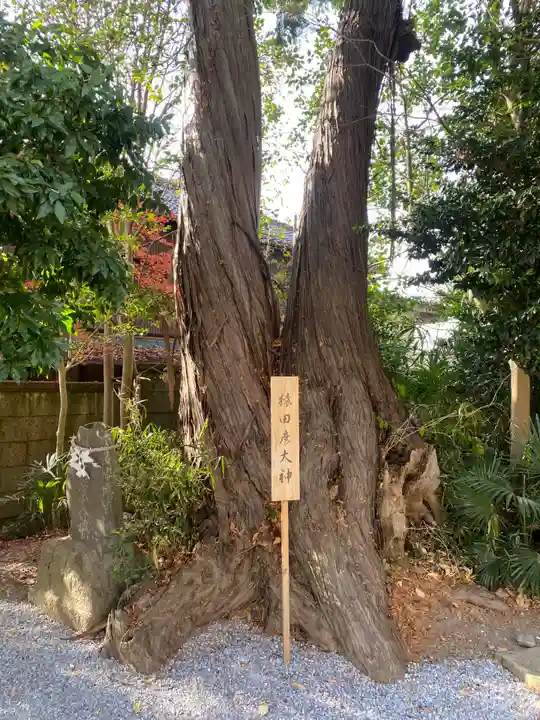 星宮神社(栃木県)
