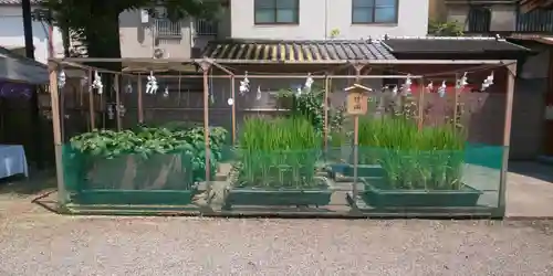 浅草神社のその他建物