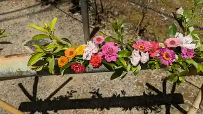 二尊院(京都府)