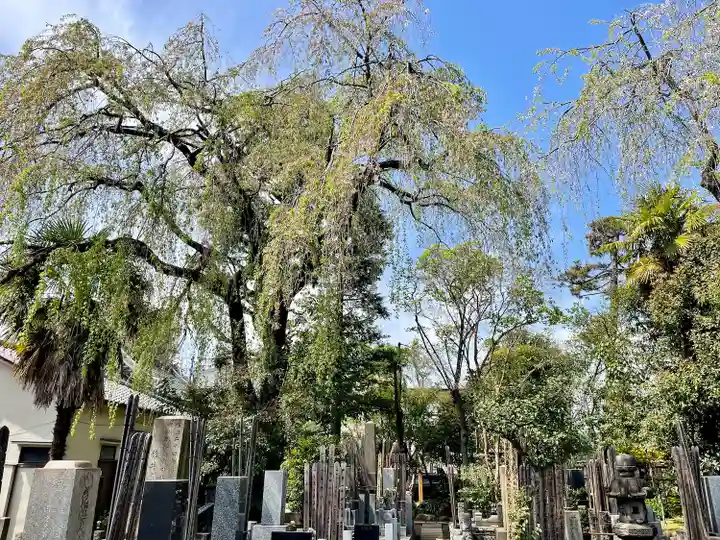 本行寺(東京都)