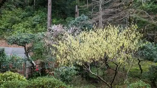 乘臺寺の庭園