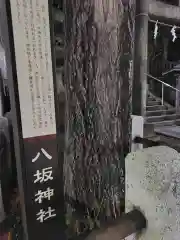 八坂神社(神奈川県)