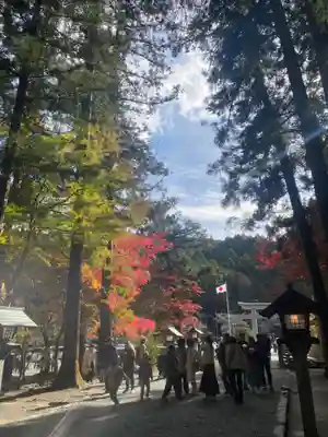 小國神社(静岡県)