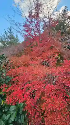 天龍寺(京都府)