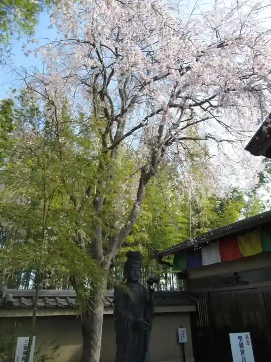 真光寺(千葉県)