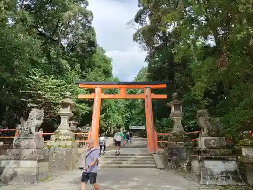 春日大社の鳥居