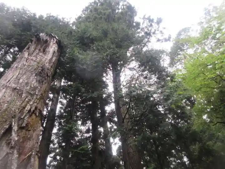 日光東照宮(栃木県)