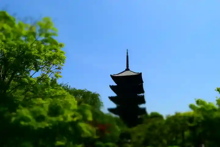 東寺(教王護国寺)の塔