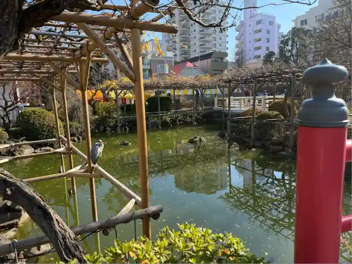 亀戸天神社(東京都)