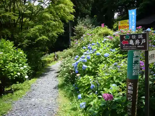 鷲子山上神社の庭園