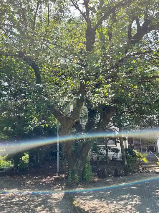 海蔵寺(神奈川県)