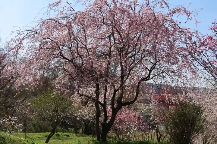 阿久津「田村神社」(郡山市阿久津町)旧社名:伊豆箱根三嶋三社の庭園