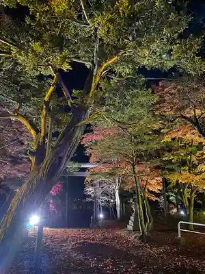北広島市総鎮守　廣島神社(北海道)