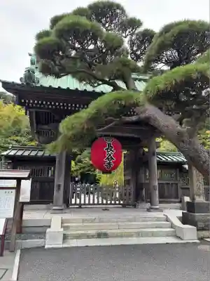 長谷寺(神奈川県)