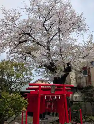 白山神社(東京都)