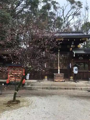 今宮神社の本殿・本堂