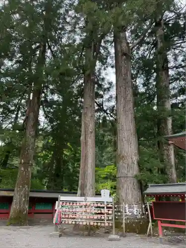 日光二荒山神社(栃木県)