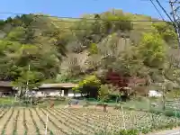 美豆山神社(徳島県)