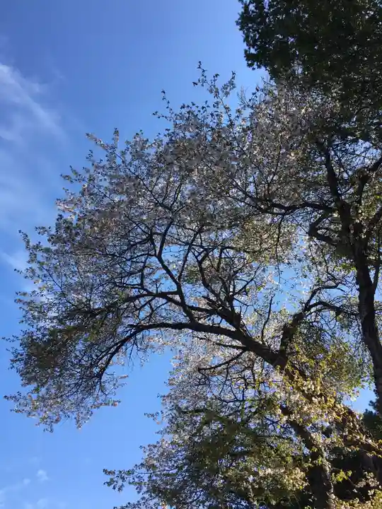 八幡神社(北海道)