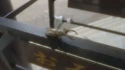 茂岩神社の動物