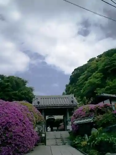 安養院　(田代寺）の山門