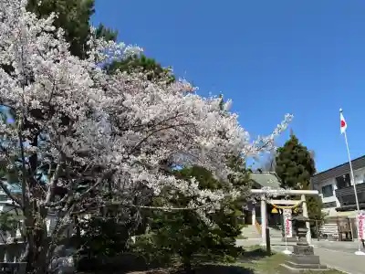 烈々布神社の{uncategorized: "未分類", other: "その他", undefined: "問題あり", building: "その他建物", grave: "お墓", sacred_gate: "鳥居", guardian: "狛犬", statue: "像", buddha: "仏像", history: "歴史", nature: "自然", garden: "庭園", animal: "動物", pagoda: "塔", temizu: "手水舎", mountain_gate: "山門・神門", sanctuary: "本殿・本堂", subordinate: "末社・摂社", art: "芸術", scenery: "景色", jizo: "地蔵", ema: "絵馬", goshuin: "御朱印", omikuji: "おみくじ", items: "授与品その他", amulet: "お守り", goshuincho: "御朱印帳", eats: "食事", festival: "お祭り", votive_dance: "神楽", shichigosan: "七五三参", wedding: "結婚式", experience: "体験その他", initially: "初詣", around: "周辺", anti_infection: "感染症対策"}