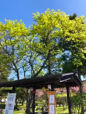 伊達神社のその他建物