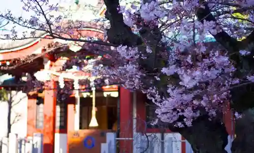 洲崎神社の自然