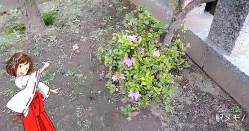 牛頭天王社の自然