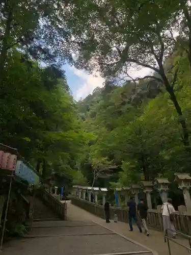 多度大社の{uncategorized: "未分類", other: "その他", undefined: "問題あり", building: "その他建物", grave: "お墓", sacred_gate: "鳥居", guardian: "狛犬", statue: "像", buddha: "仏像", history: "歴史", nature: "自然", garden: "庭園", animal: "動物", pagoda: "塔", temizu: "手水舎", mountain_gate: "山門・神門", sanctuary: "本殿・本堂", subordinate: "末社・摂社", art: "芸術", scenery: "景色", jizo: "地蔵", ema: "絵馬", goshuin: "御朱印", omikuji: "おみくじ", items: "授与品その他", amulet: "お守り", goshuincho: "御朱印帳", eats: "食事", festival: "お祭り", votive_dance: "神楽", shichigosan: "七五三参", wedding: "結婚式", experience: "体験その他", initially: "初詣", around: "周辺", anti_infection: "感染症対策"}