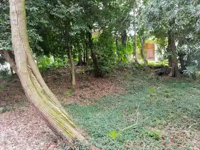 神明社(高之宮神明社)の自然