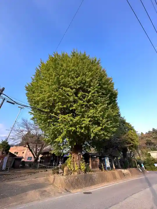 祐照庵 大戸観音堂(東京都)